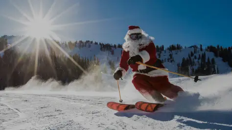 Новость: Режим работы в Новогодние праздники 2026