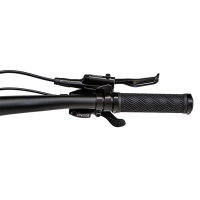 Превью Городской велосипед Велосипед WELT Stroke (2025)