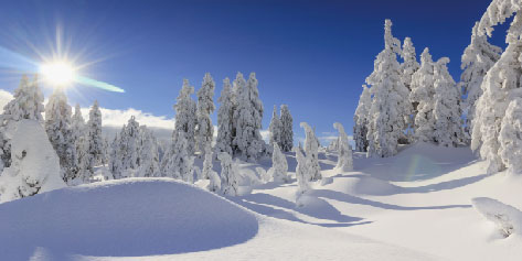 Скидка: Скидка 5-15% на зимнее снаряжение нового сезона по купону WINTER