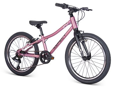 Превью Детский дорожный велосипед Велосипед ASPECT Galaxy Фиолетовый (2025)