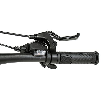 Превью Горный велосипед Велосипед WELT Brave 1.0 24 MD Bizarre Green (2025)