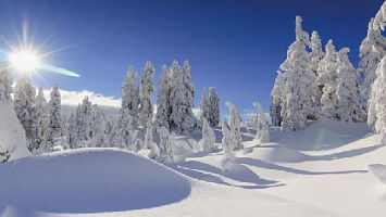 Скидка 5-15% на зимнее снаряжение нового сезона по купону WINTER