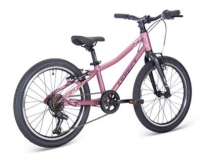 Превью Детский велосипед 20 дюймов Велосипед ASPECT Galaxy Фиолетовый (2025)