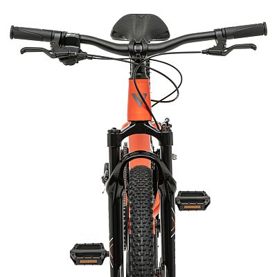 Превью Горный велосипед Велосипед WELT Brave 1.0 24 MD Dreamy Fox (2025)