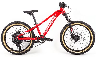 Превью Детский велосипед 20 дюймов Велосипед TITAN RACING Hades 20 Team (2024)