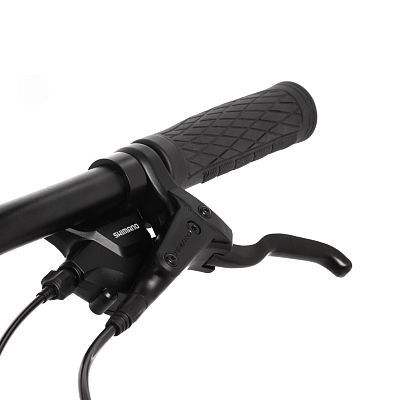 Превью  Велосипед STINGER Graphite Evo 29" (2024)