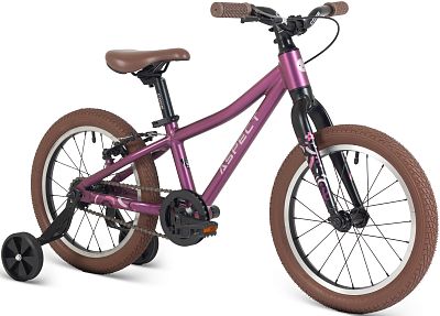 Превью Детский велосипед 16 дюймов Велосипед ASPECT Smile 16 Фиолетовый (2025)