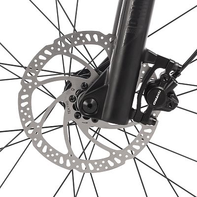 Превью  Велосипед STINGER Genesis Std 29" (2024)