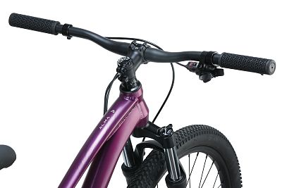 Превью Женский велосипед Велосипед ASPECT Alma 26 Тёмно-Фиолетовый (2025)