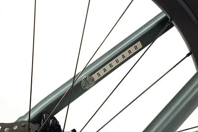 Превью  Велосипед HARO Saguaro 1 Зелёный (2025)