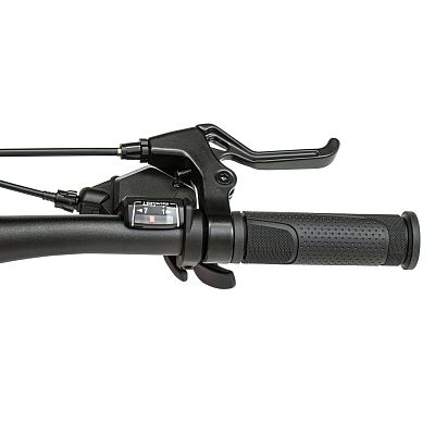 Превью Детский велосипед Велосипед WELT Brave 1.0 24 MD Dreamy Fox (2025)