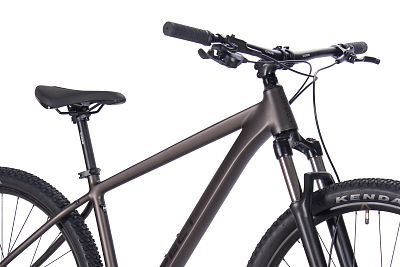 Превью  Велосипед ASPECT Cobalt 29 Коричневый (2025)