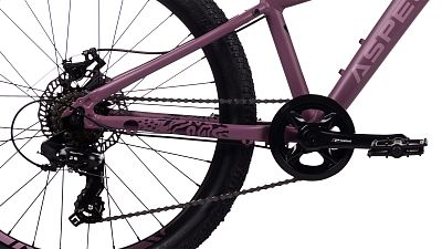 Превью Детский велосипед Велосипед ASPECT Angel (2024)