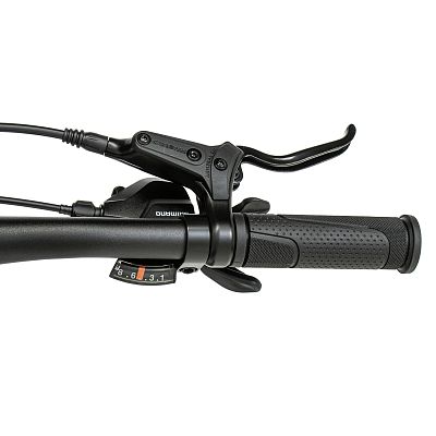 Превью Детский велосипед Велосипед WELT Brave 2.0 24 HD Deep Purple (2025)