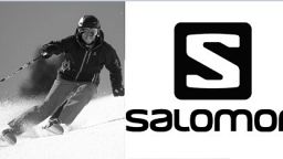 Горные лыжи SALOMON