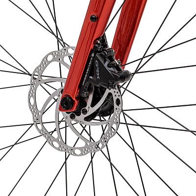 Превью Мужской велосипед Велосипед WELT G100 (2025)