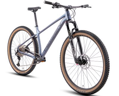 Превью  Велосипед HAGEN 3.12 29 (2025)