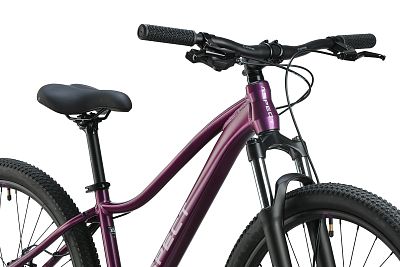 Превью Горный велосипед 26 дюймов Велосипед ASPECT Alma 26 Тёмно-Фиолетовый (2025)