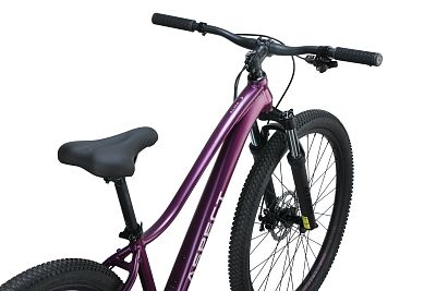 Превью Женский велосипед Велосипед ASPECT Alma 26 Тёмно-Фиолетовый (2025)